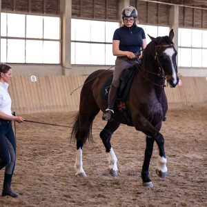 Reitkunst Kathi Prantl - Reitunterricht in Österreich, Foto: Viktoria Kierner